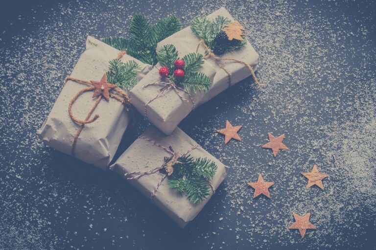 12歳女の子に贈るクリスマスプレゼントのおすすめは？